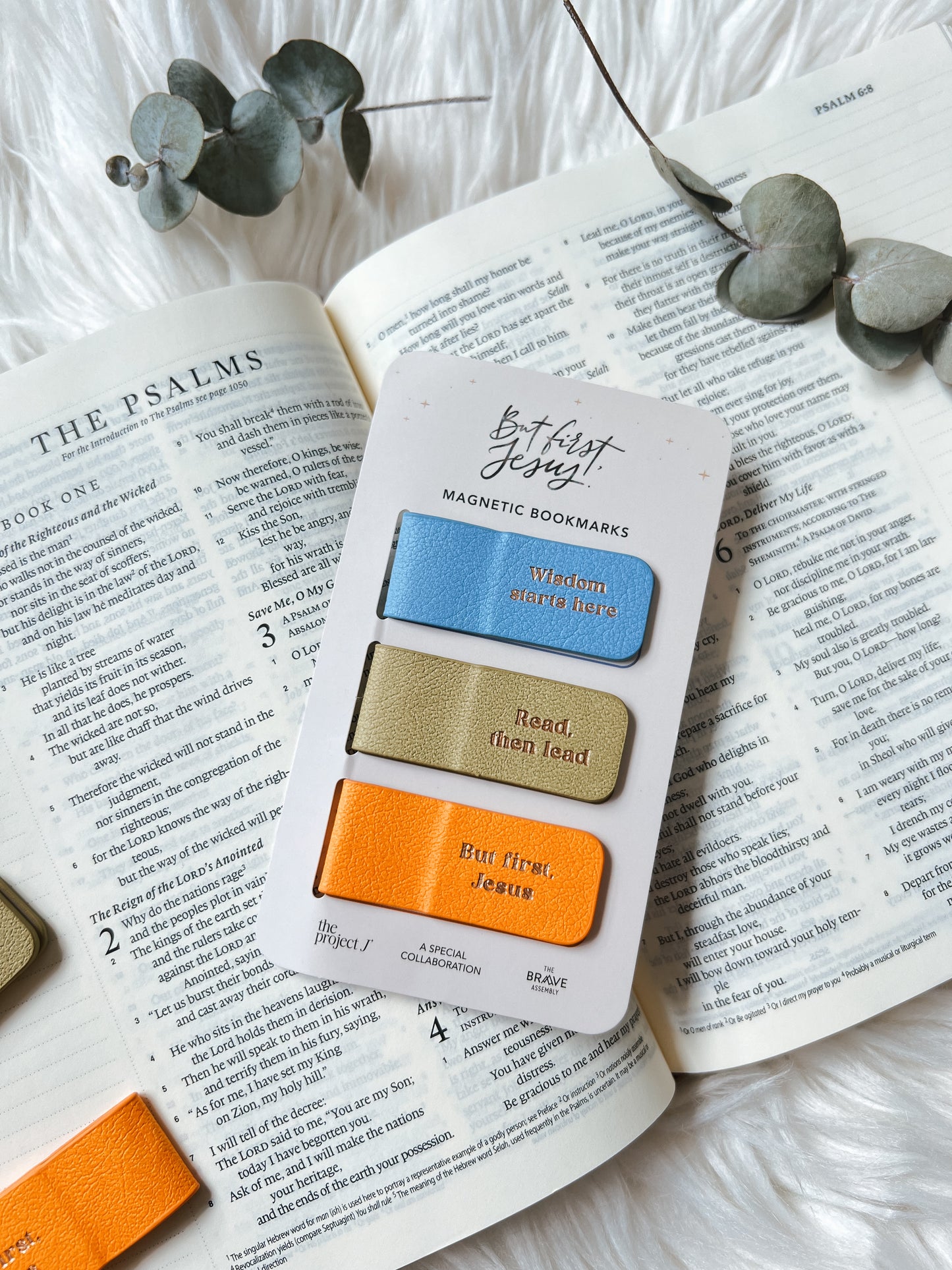 Magnetic Bookmarks | Set of 3