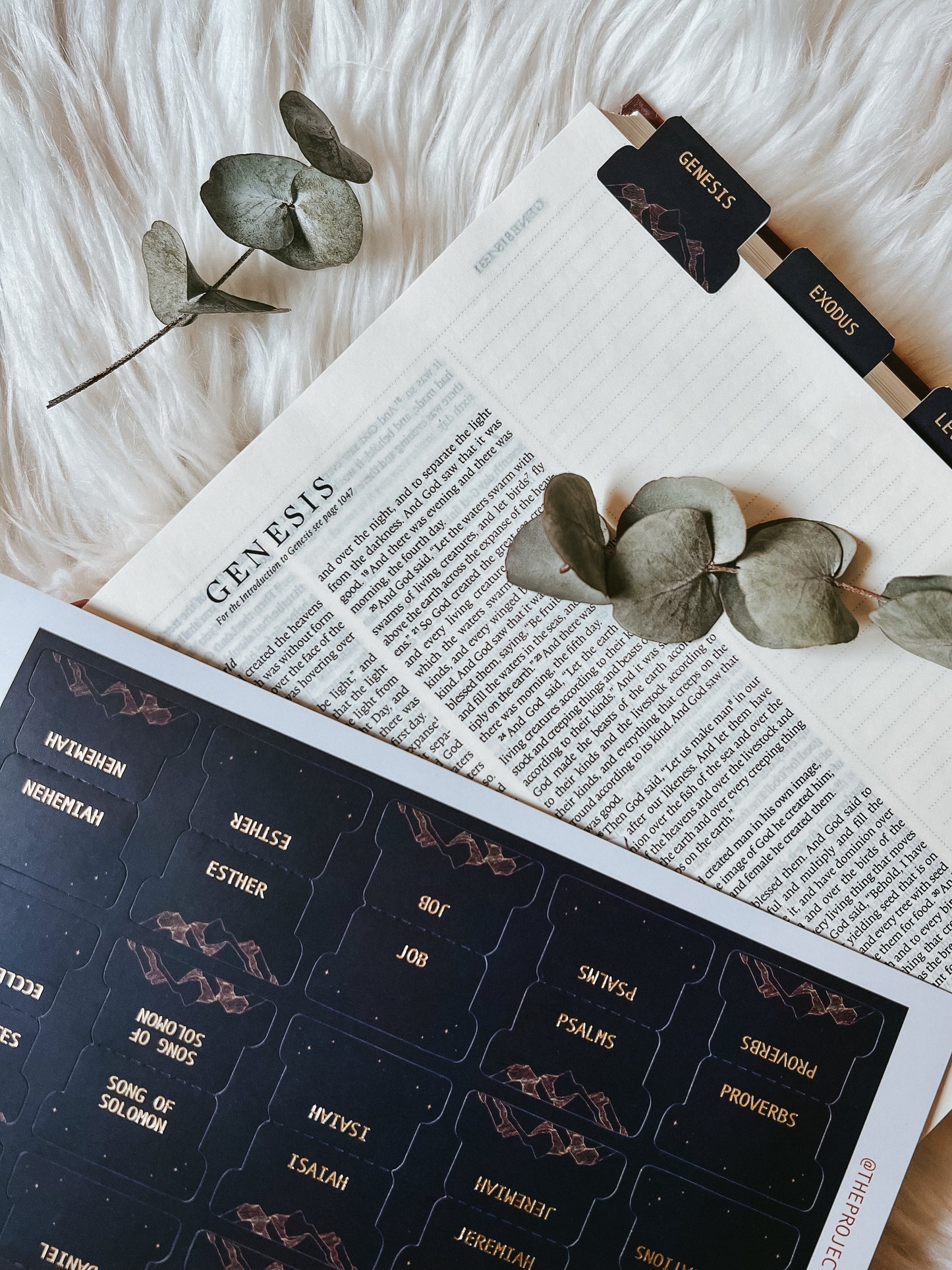 Bible Tabs | Midnight Wonder (Blue)
