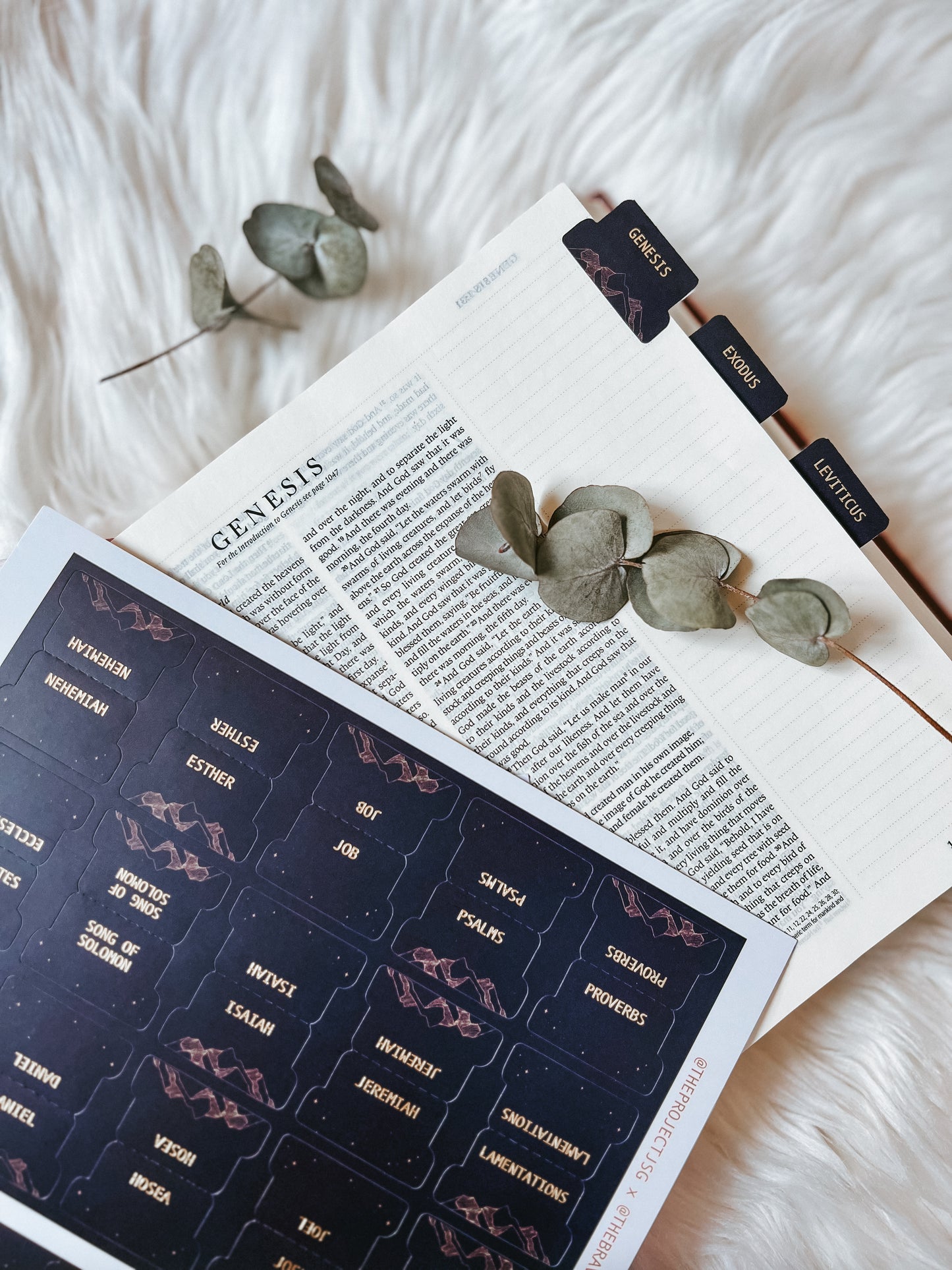 Bible Tabs | Midnight Wonder (Blue)