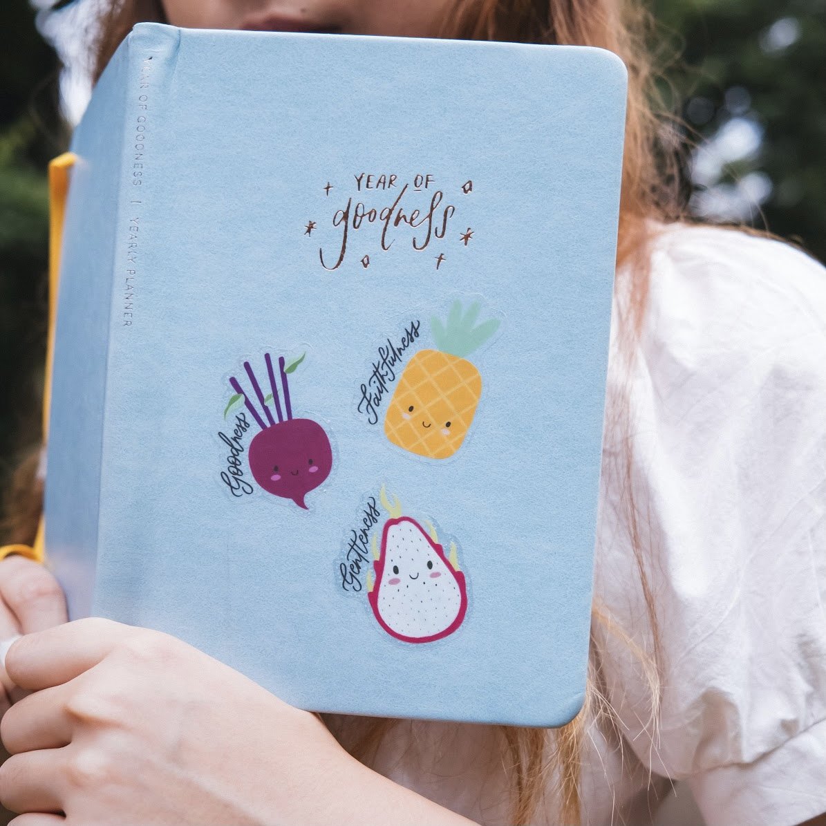 Fruit Stickers Pack (Set of 9)