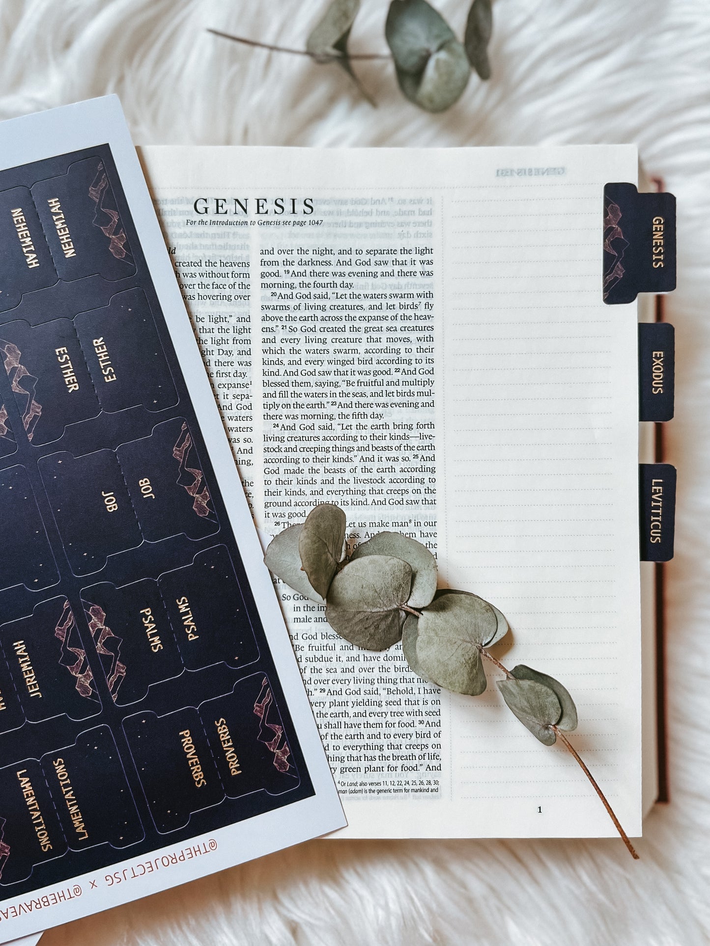 Bible Tabs | Midnight Wonder (Blue)