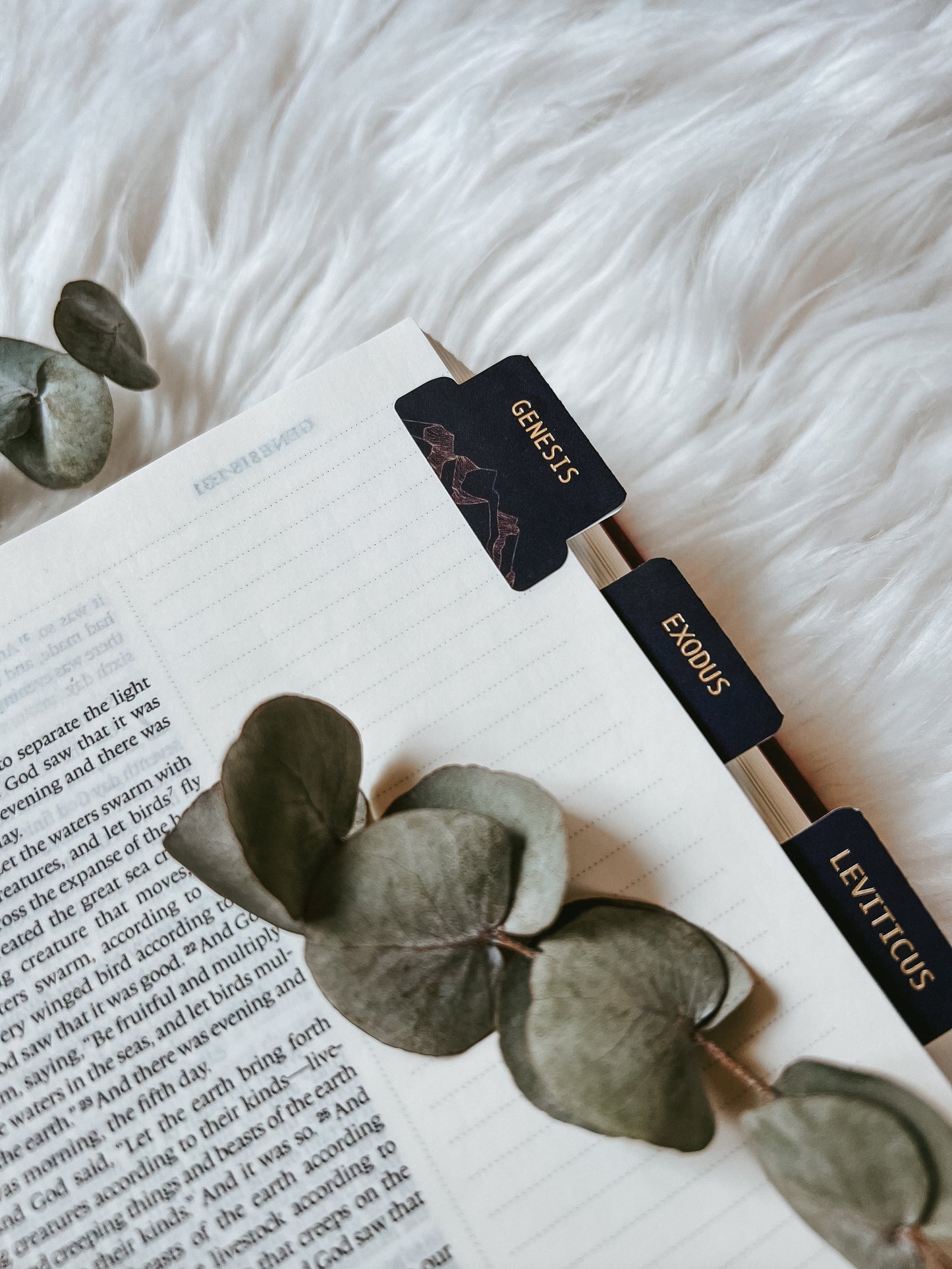 Bible Tabs | Midnight Wonder (Blue)
